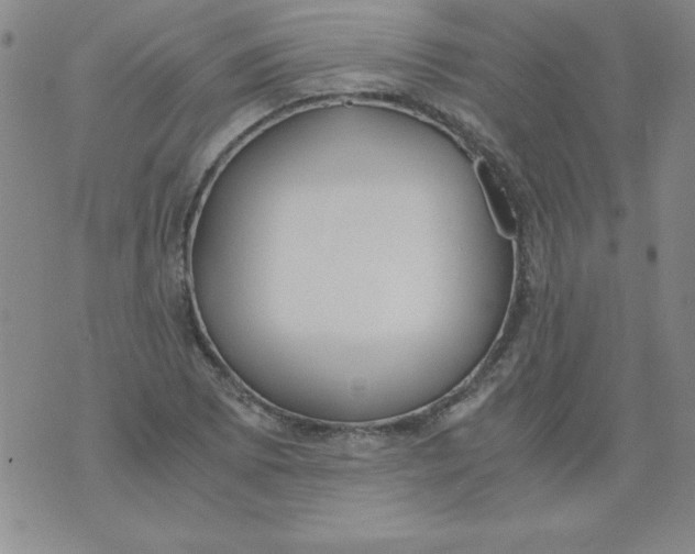 X0000073901073200609082142