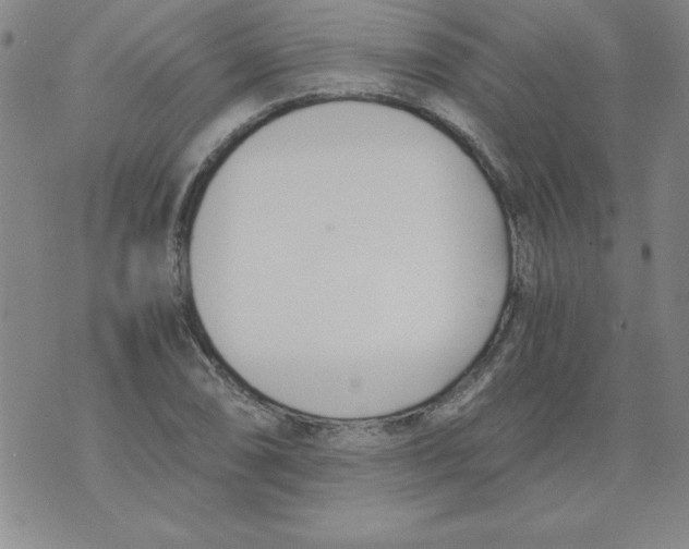 X0000073901074200609082142