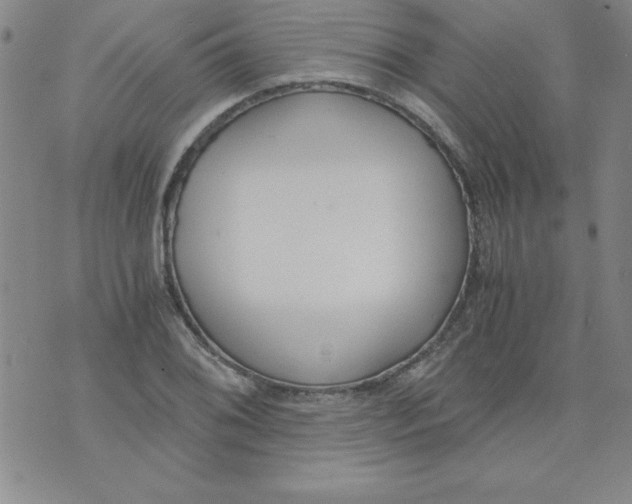 X0000073901076200609082142