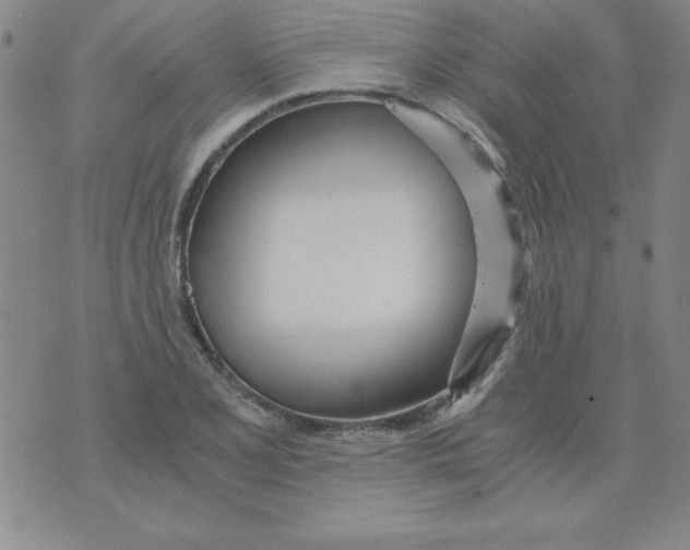 X0000073901077200609082142