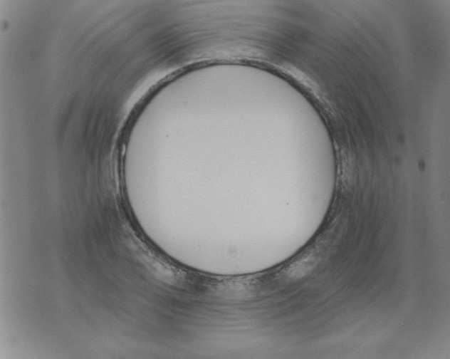 X0000073901078200609082142