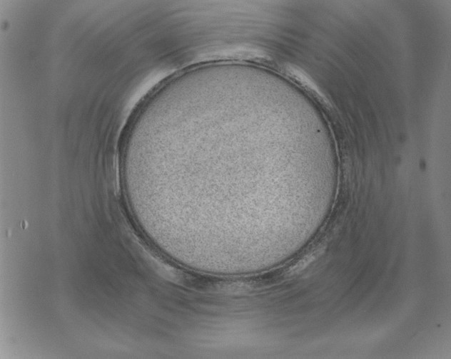 X0000073901079200609082142