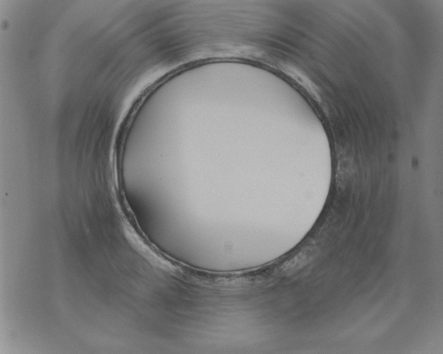 X0000073901080200609082142