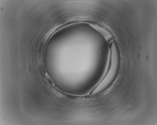 X0000073901081200609082142