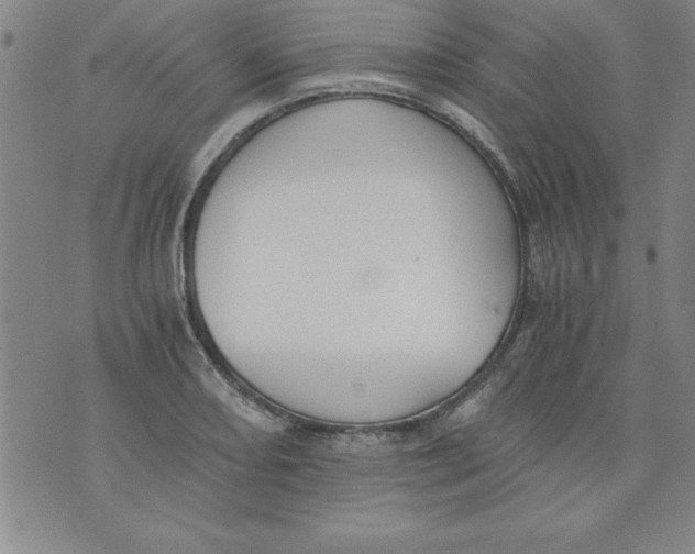 X0000073901082200609082142