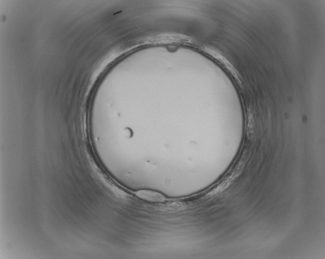 X0000073901083200609082142