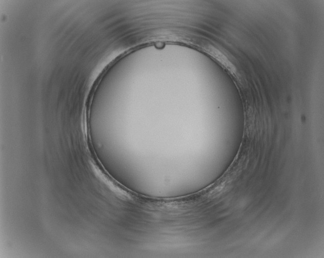 X0000073901084200609082142