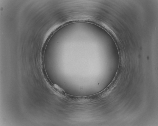 X0000073901085200609082142