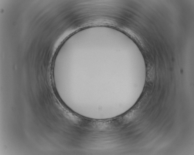 X0000073901086200609082142