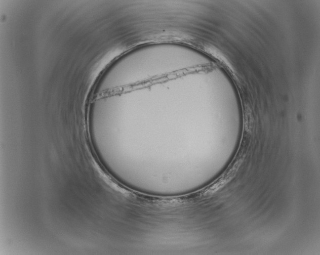 X0000073901087200609082142