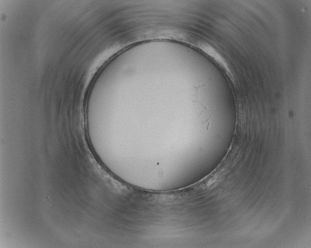 X0000073901088200609082142