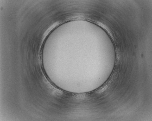 X0000073901090200609082142