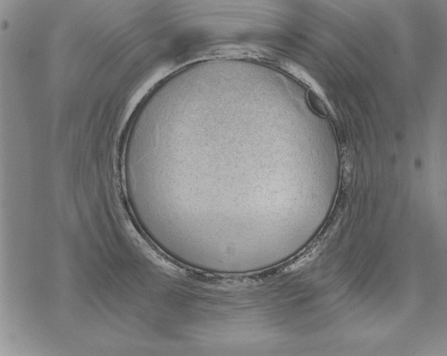 X0000073901091200609082142