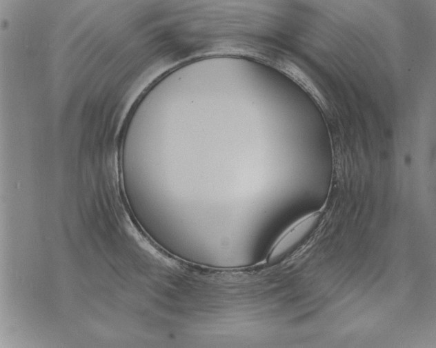 X0000073901092200609082142