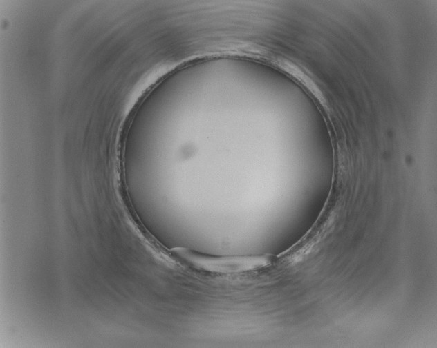 X0000073901093200609082142