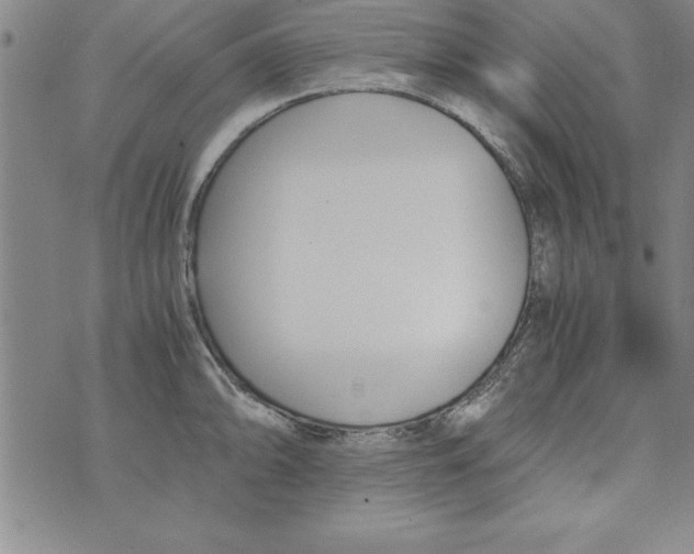 X0000073901094200609082142