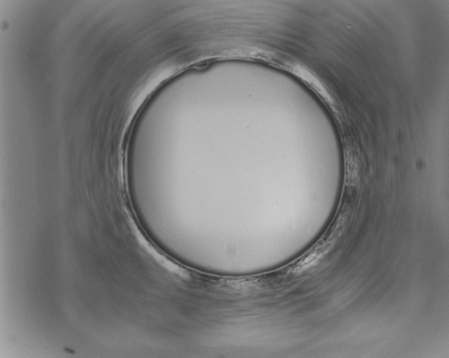 X0000073901095200609082142