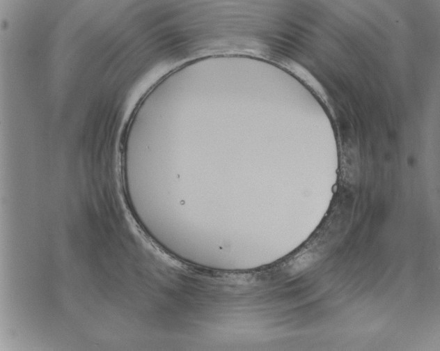 X0000073901096200609082141