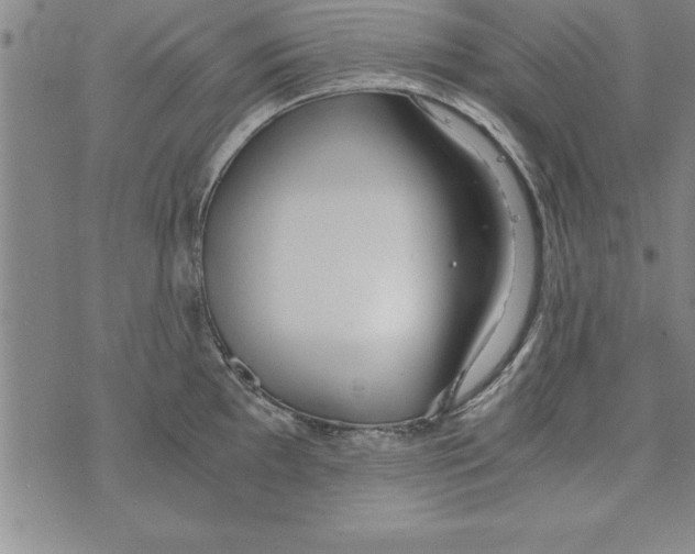 X0000073901097200609082141