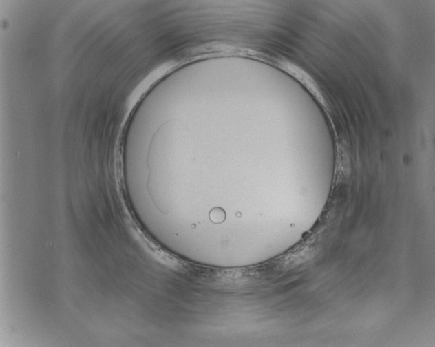 X0000073901098200609082141