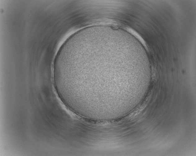 X0000073901099200609082141