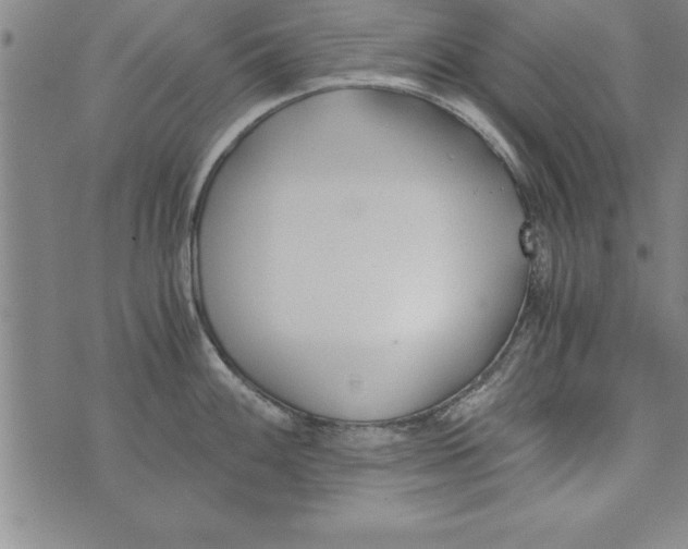 X0000073901100200609082141