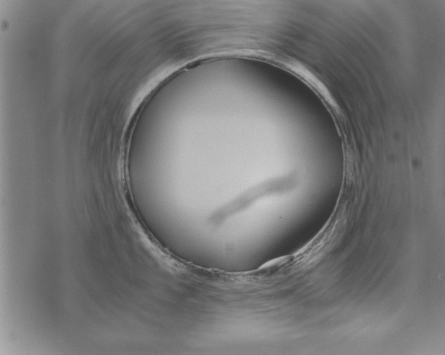 X0000073901101200609082141