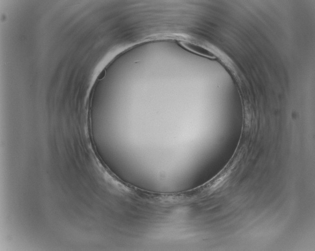 X0000073901102200609082141