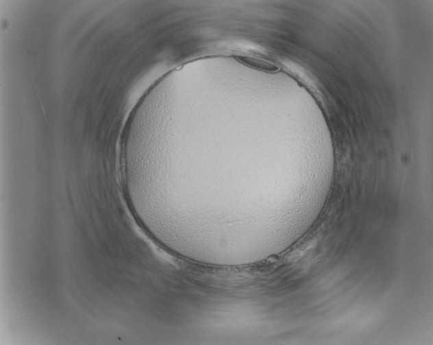 X0000073901103200609082141