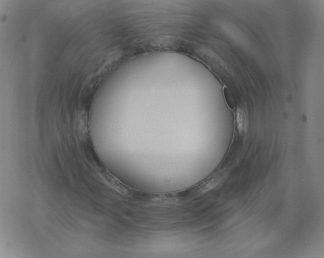 X0000073901107200609082141