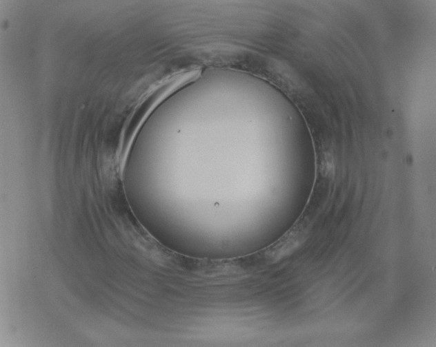 X0000073901108200609082141