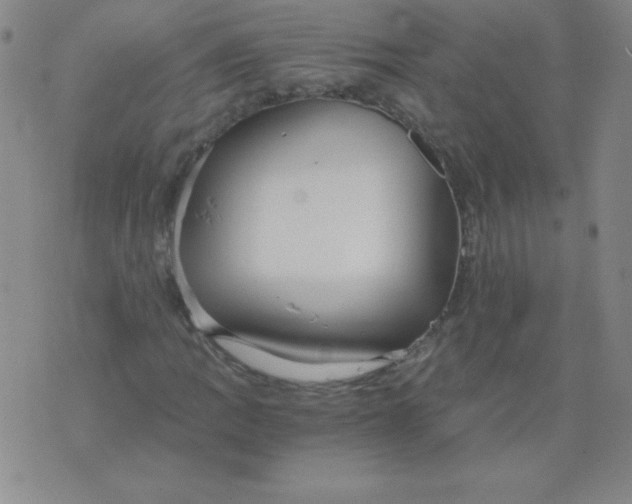 X0000073901109200609082141