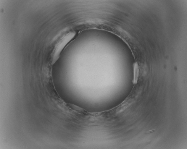 X0000073901110200609082141