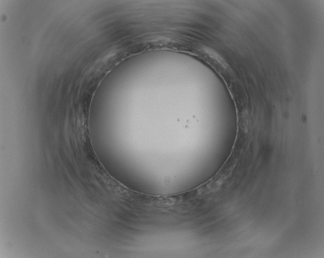 X0000073901111200609082141