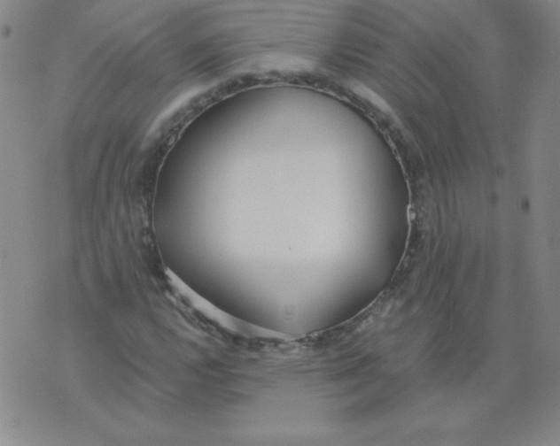 X0000073901112200609082141