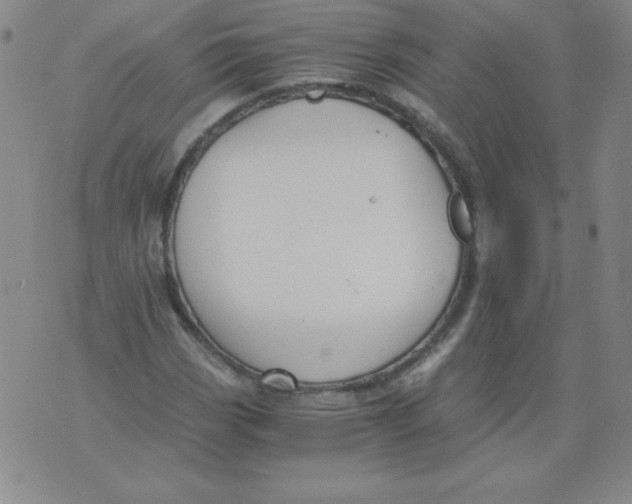 X0000073901113200609082141