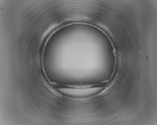 X0000073901114200609082141