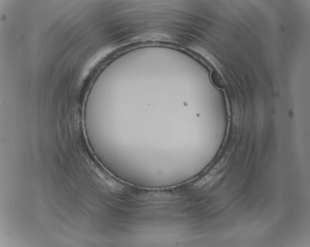 X0000073901115200609082141