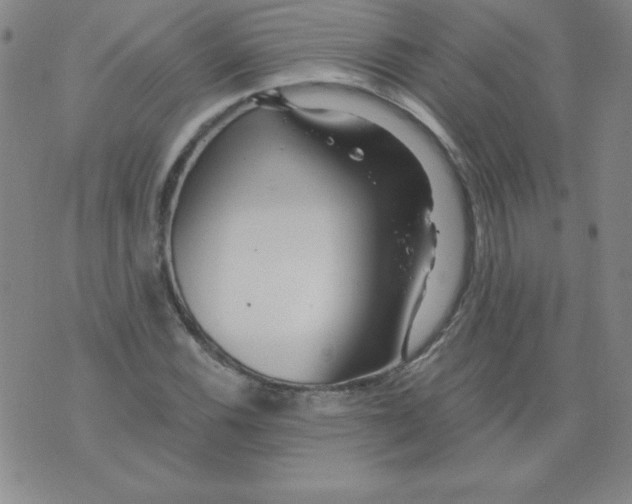 X0000073901116200609082141