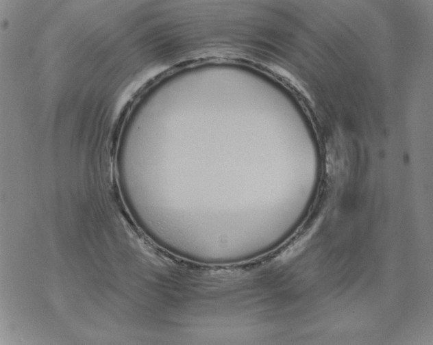 X0000073901117200609082141