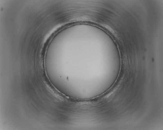 X0000073901118200609082141