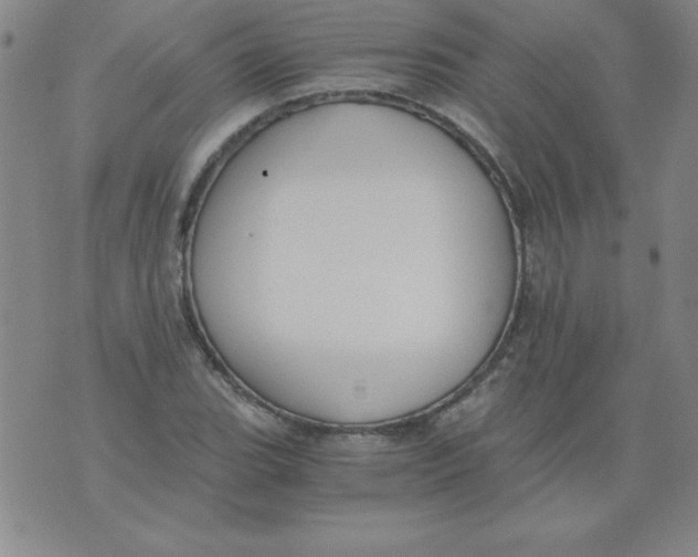 X0000073901119200609082141