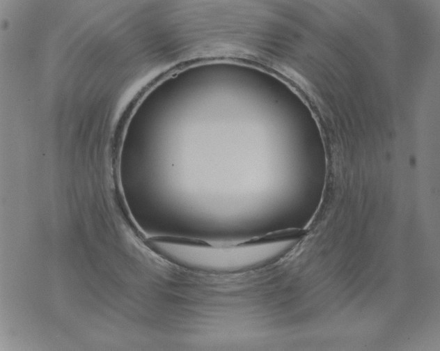 X0000073901120200609082141