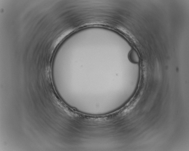 X0000073901121200609082141