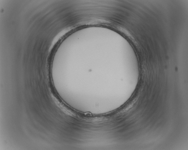 X0000073901122200609082141