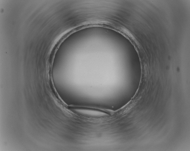 X0000073901124200609082141