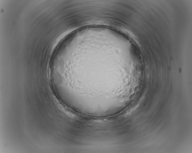 X0000073901125200609082141