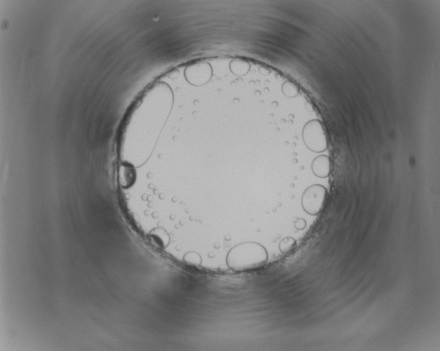 X0000073901126200609082141