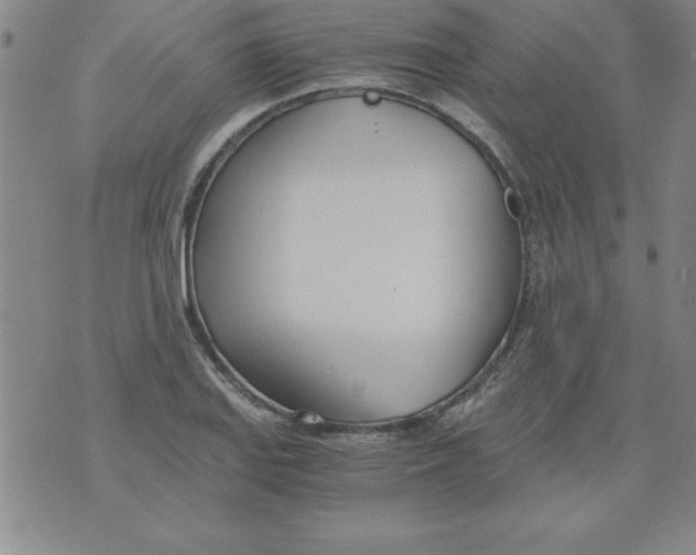 X0000073901127200609082141