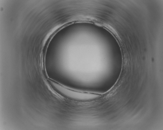 X0000073901128200609082141